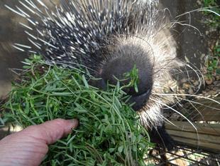 春、山盛り　～クリス編～