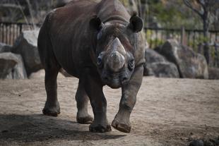 まもなく2周年!