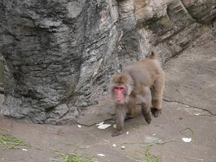 祝☆誕生！！！