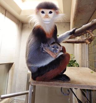 開園記念日の朝に・・・