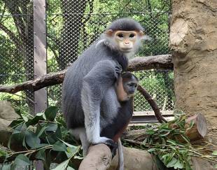 いよいよ公開！