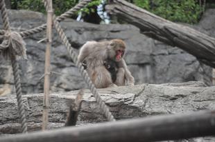 これからよろしくね！