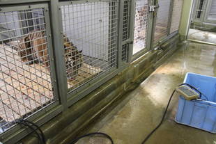 体重をはかりました！