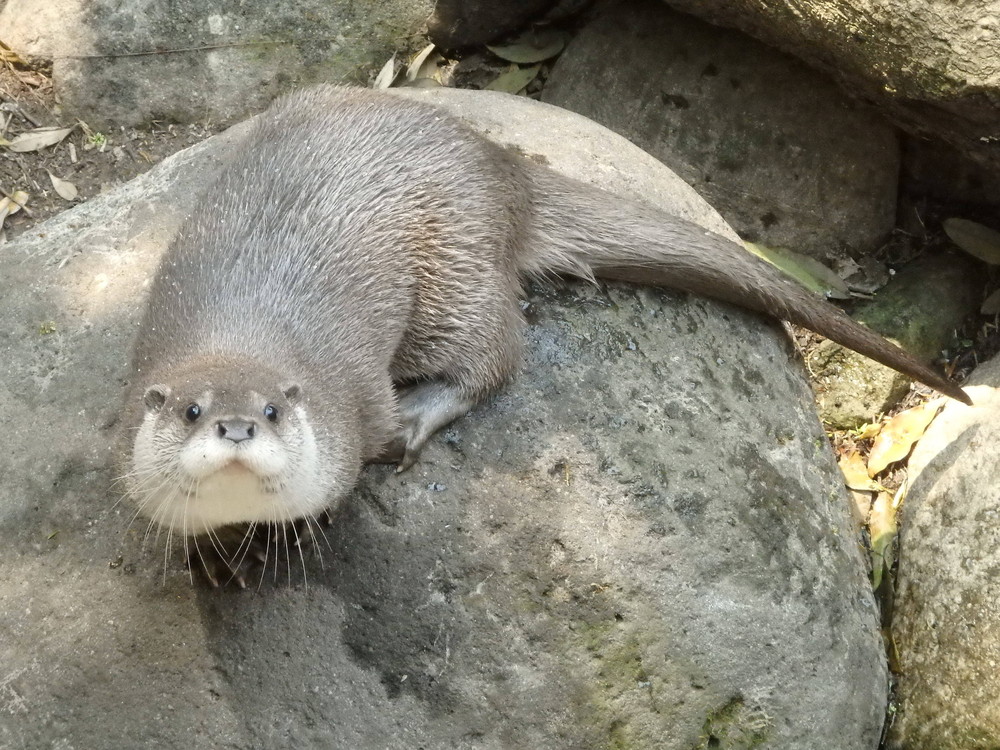 待ってますよ~♪の写真