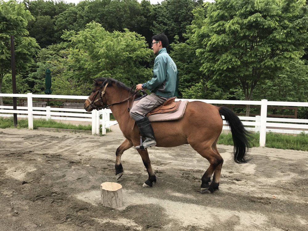 運動でリフレッシュの写真