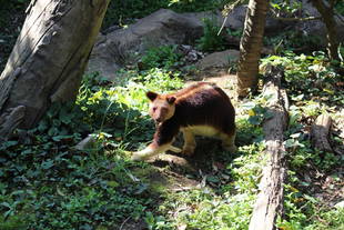 展示場に出る練習風景