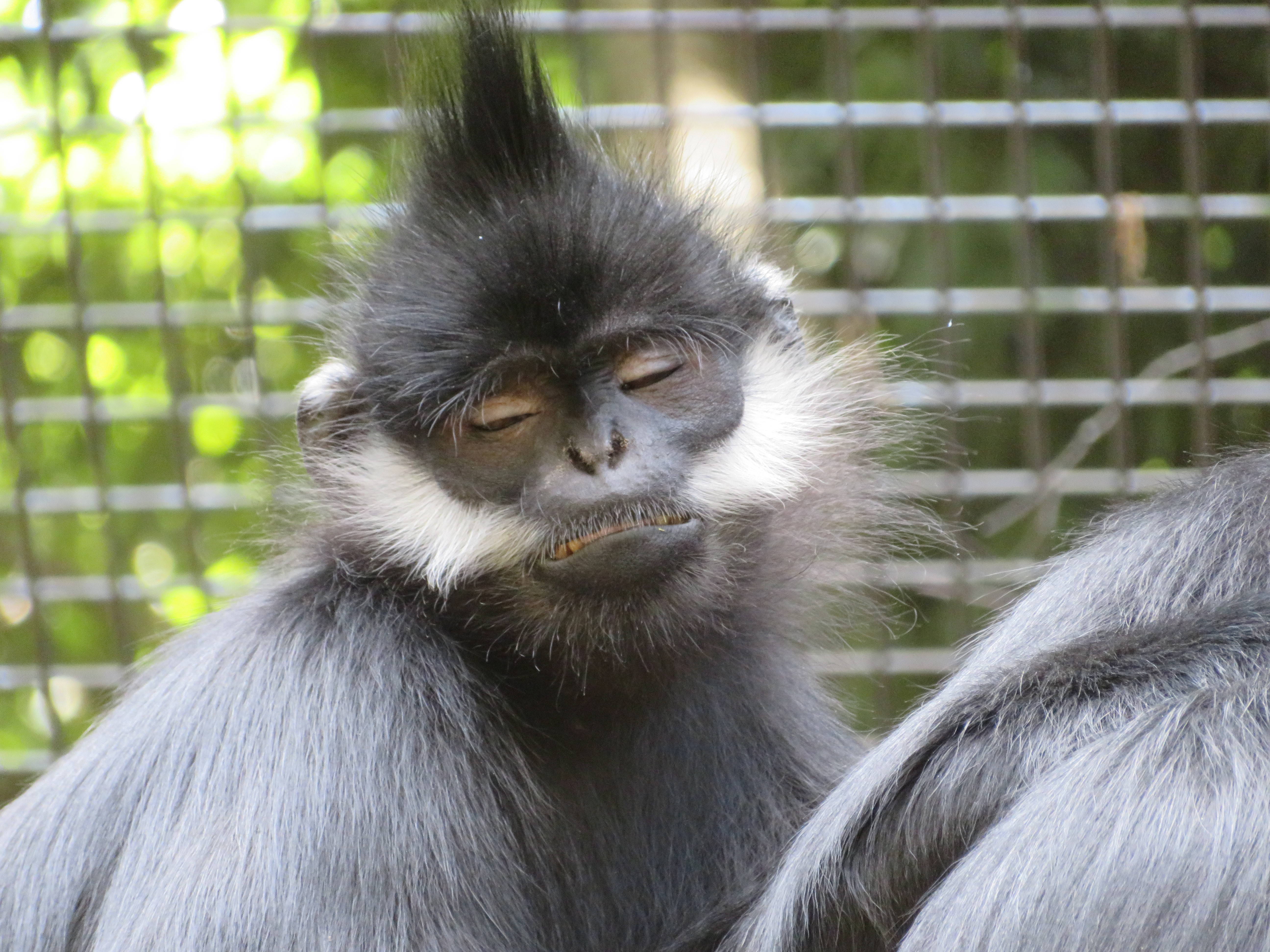 zzZの写真