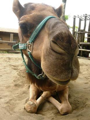 お祝いをいただきました