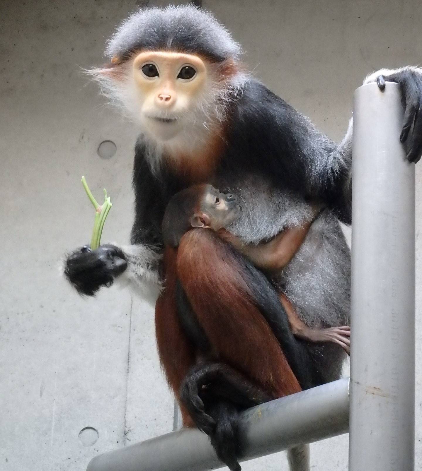 開園記念日の1ヶ月後に・・・の写真