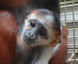 みなさん、投票ありがとうございました！