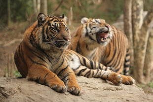 ミンピの思い出（その3）