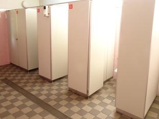 トイレの中からこんにちは(＾０＾)