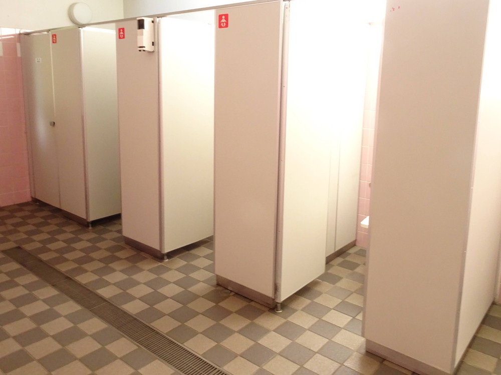 トイレの中からこんにちは(^0^)の写真