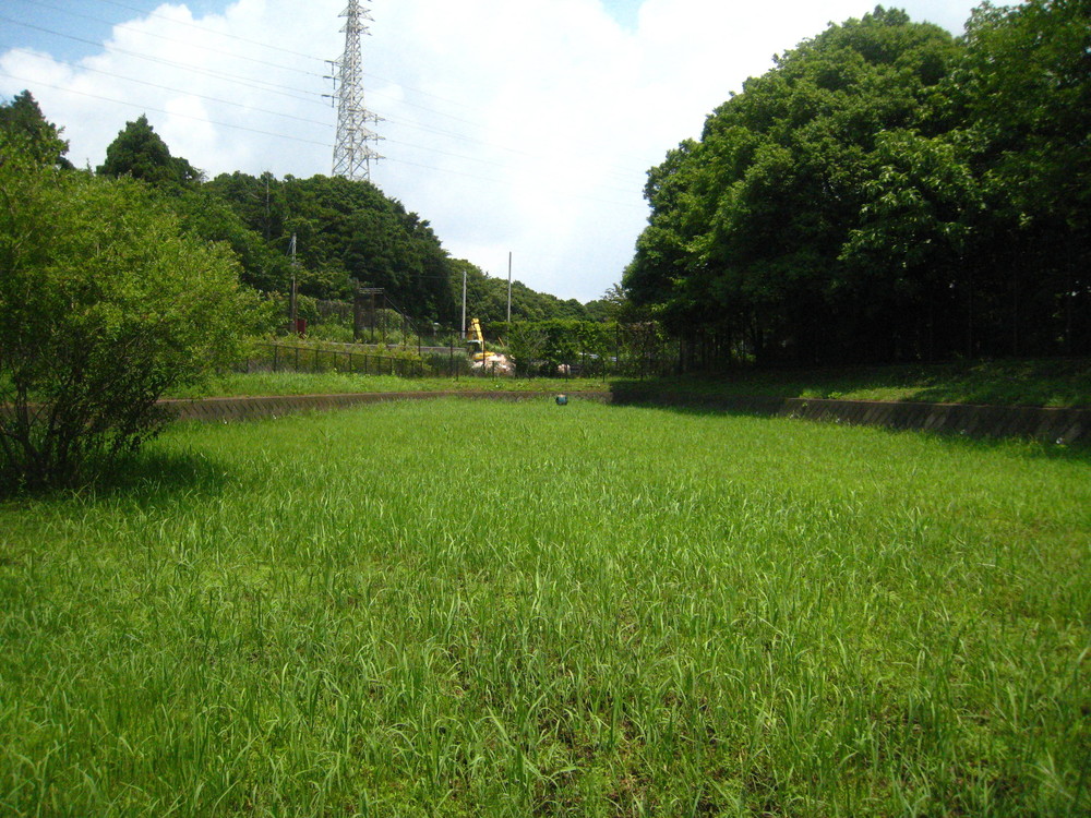 ある晴れた日の午後の写真