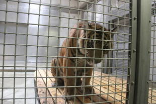 久しぶりの体重報告です