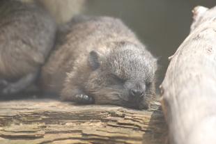 今年も誕生‼‼‼