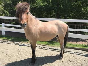 夏毛になりました！！