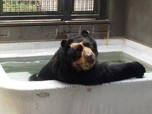 いろんなマックス。