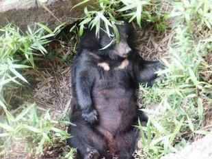 だって、暑いんだもんっ