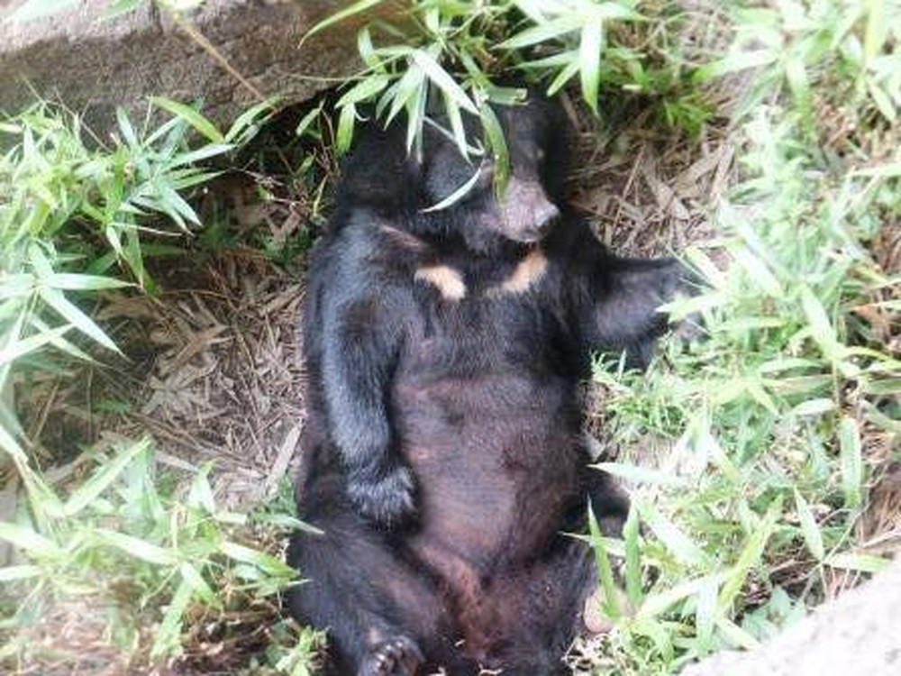 だって、暑いんだもんっの写真
