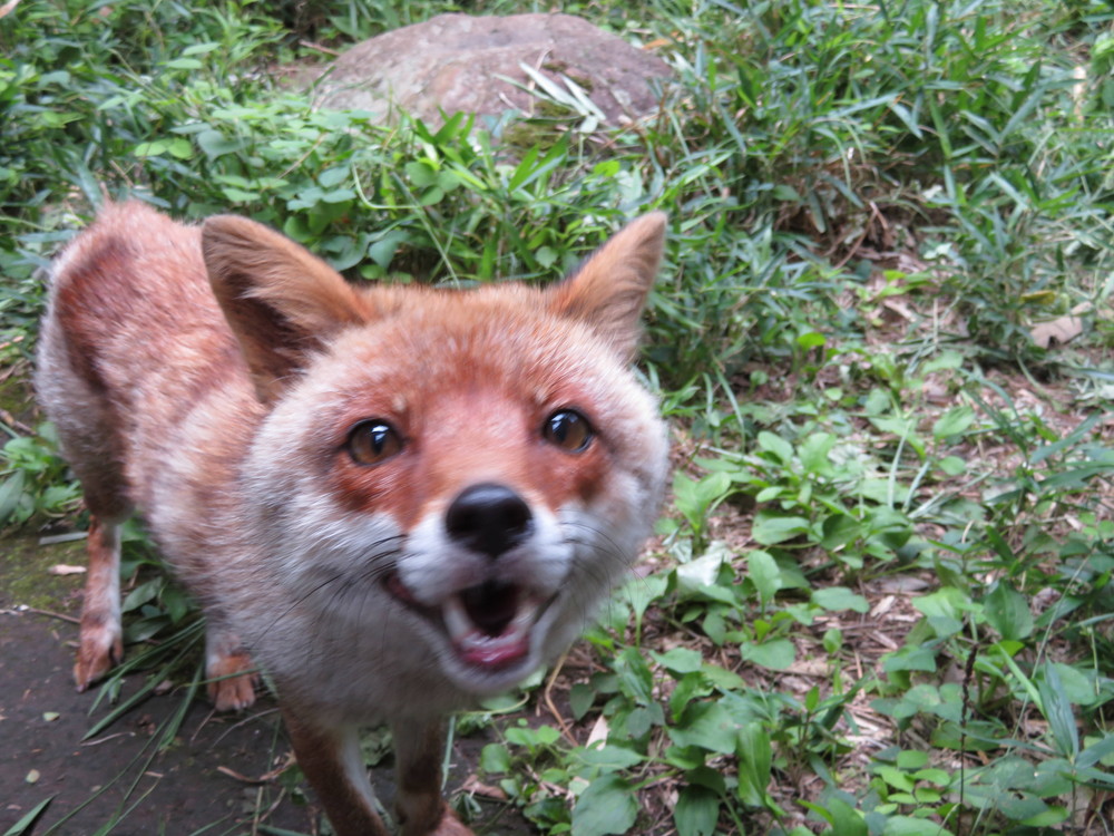 素敵な笑顔!の写真