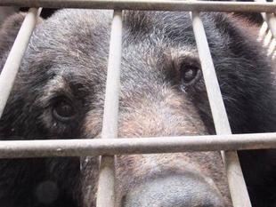 だって、痒いんだもんっ