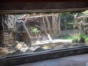 久しぶりの展示場！