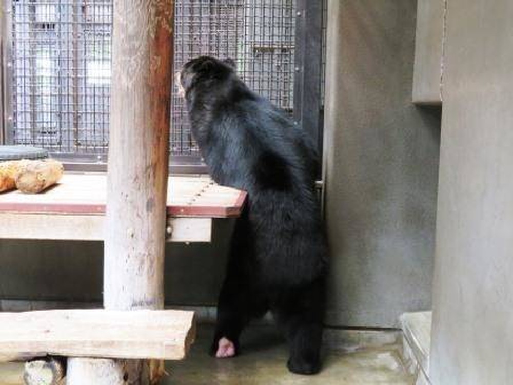 待ち望んでいるものは...の写真