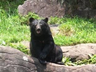 小さな飼育員たち