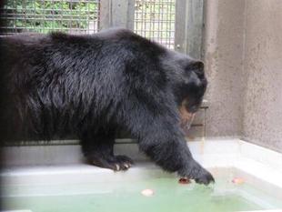 ごはんのためなら...