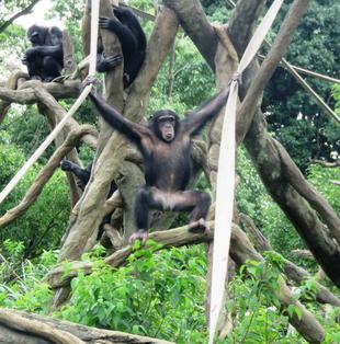 祝！マリモ5歳！