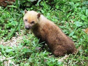 「どすえ」と「フランシス」　パート3