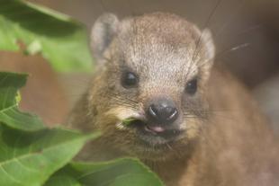 ちびラックス生後3か月‼‼‼