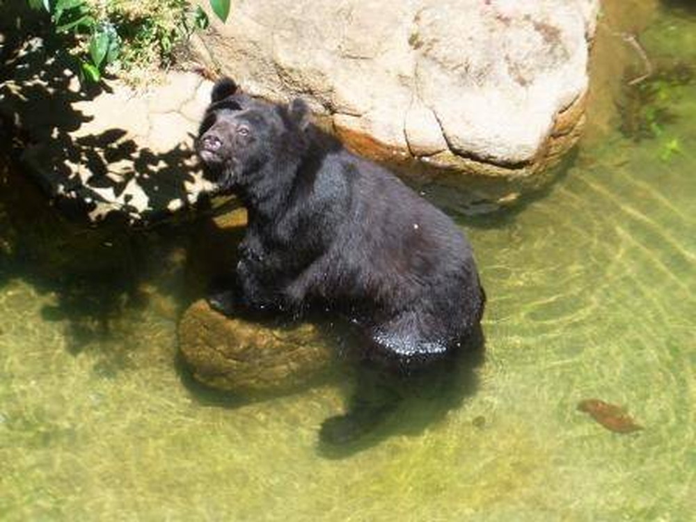 ユマの過ごし方の写真