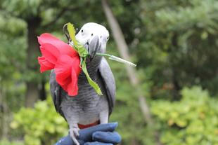 お花を持って・・・