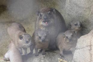 2か月過ぎました★