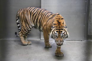 自動扉の点検がありました