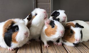 毎日清潔に！！