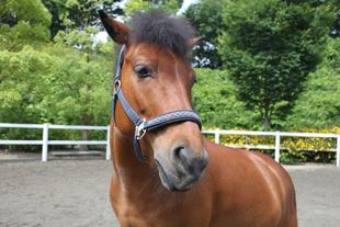 ありがとう春太