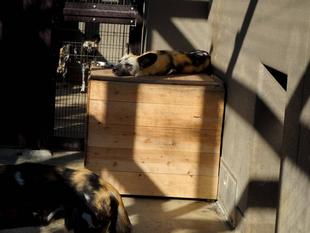 少し早いけど、冬の準備を