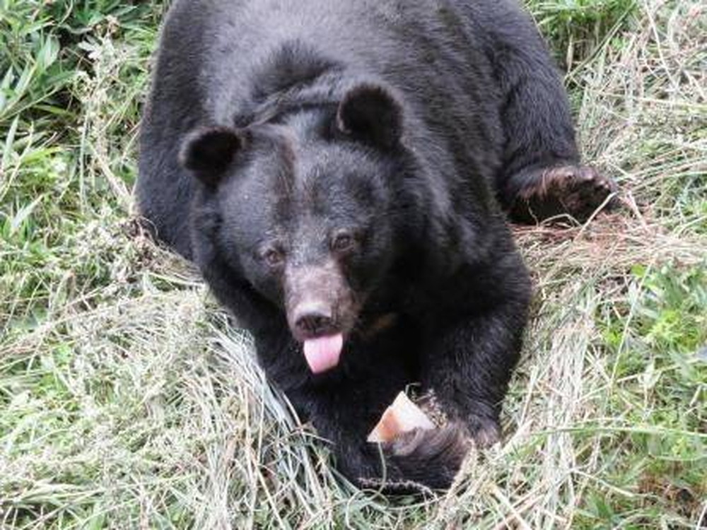 食欲の秋?の写真