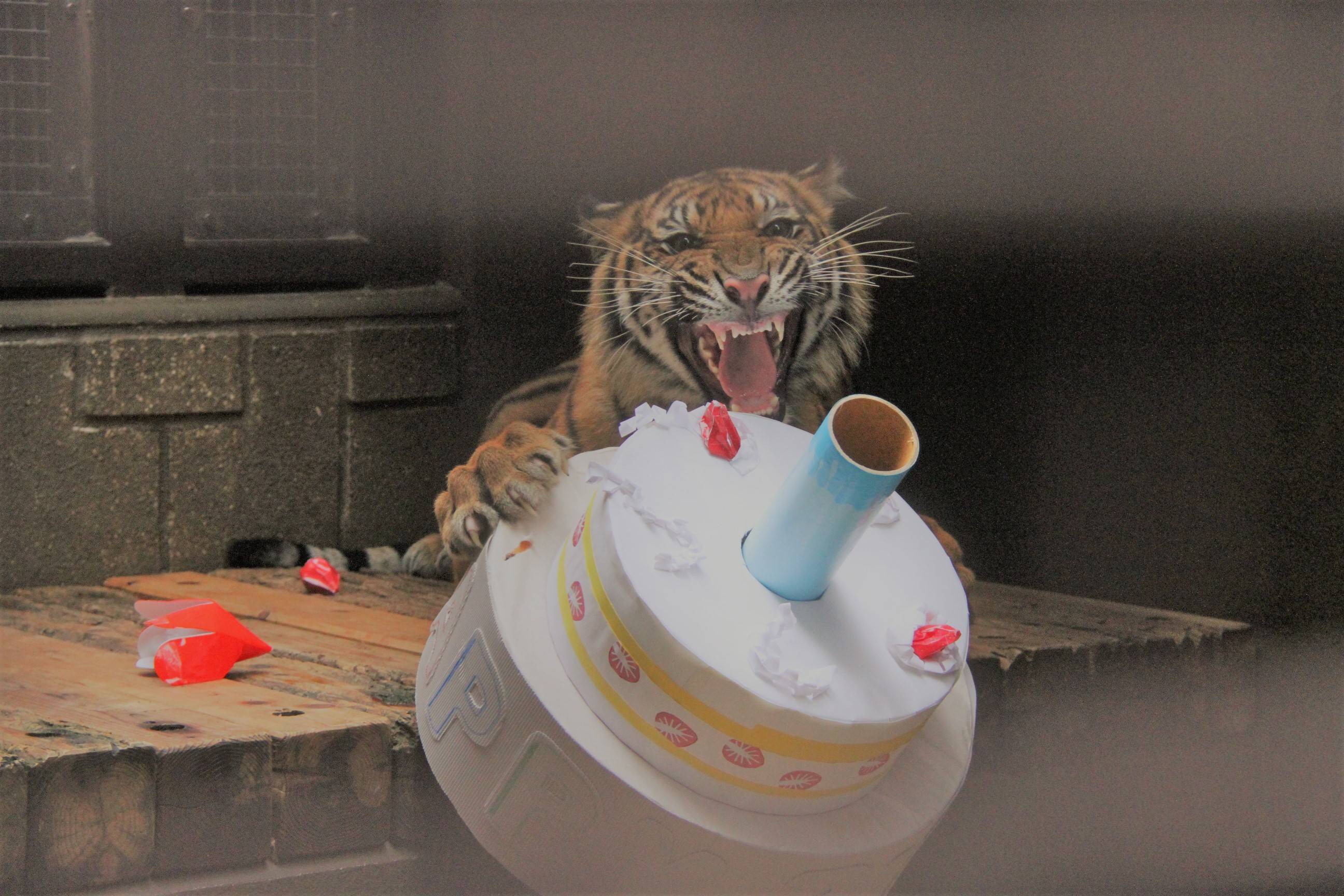 ちょっと遅い、誕生日プレゼント その1の写真