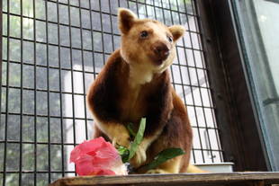 寒くなってきたので