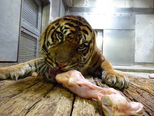 スノコの上で・・・