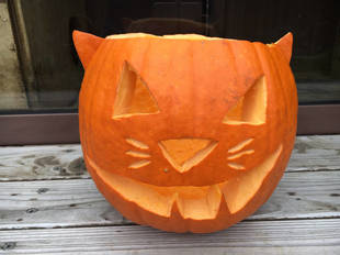 ミーアキャットのハロウィン