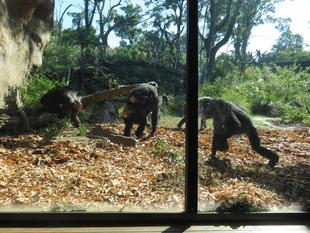 ちょっと前になりますが