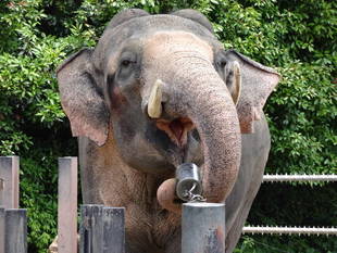 お久しぶりです!