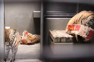 園路が閉鎖されていても・・・①