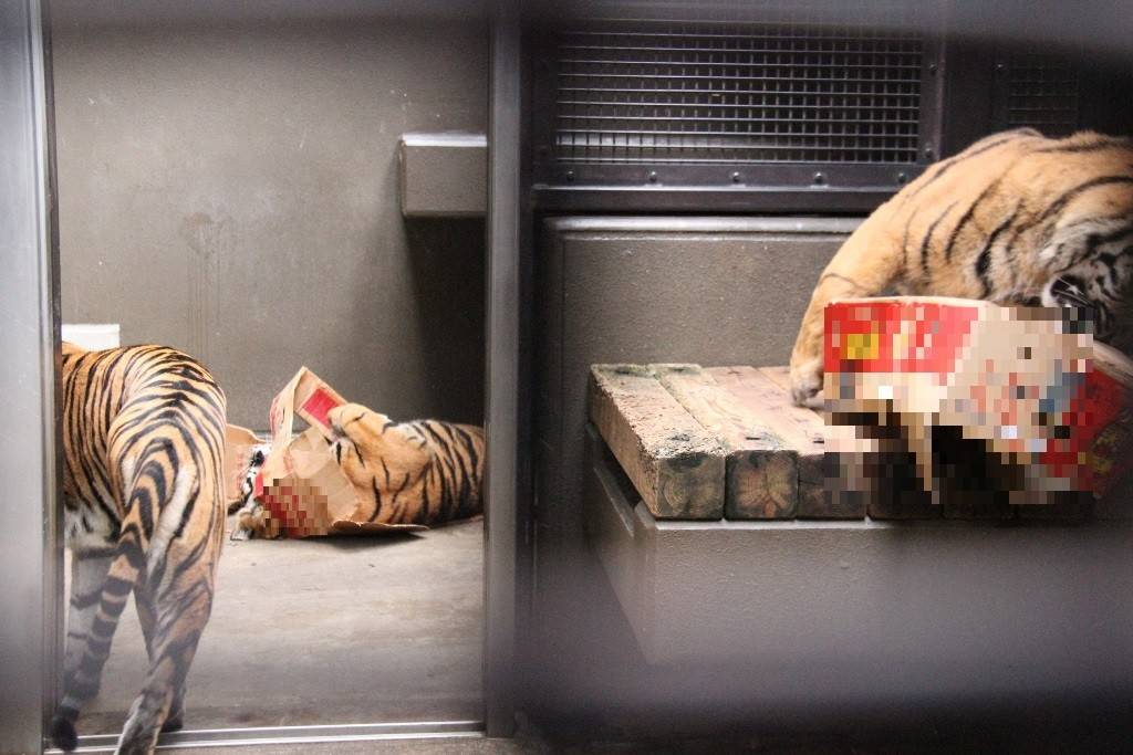 園路が閉鎖されていても・・・①の写真