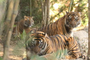 今年もあと僅か・・・